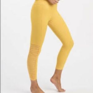 ZYIA Daffodil Mesh Light and Tight leggings